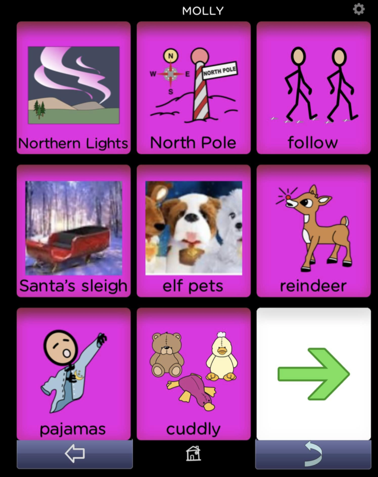 BRIDGE Communication affordable AAC app. Example of student-made winter vocabulary board.