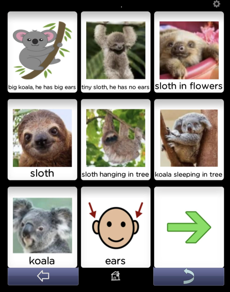 BRIDGE Communication AAC app. Example of student-made animal vocabulary board.
